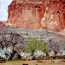 Capitol Reef